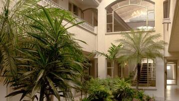 Vista desde la habitación