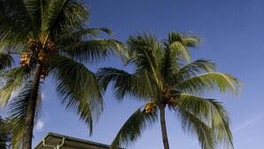 A modern house with a large balcony, surrounded by palm trees and well-maintained lawn. - Madang Lodge Hotel (Madang)