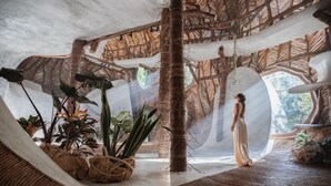 Un interior espacioso con techo alto, luz natural y plantas tropicales.