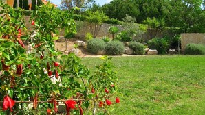 Un jardín bien cuidado con diversas plantas y un muro de piedra.