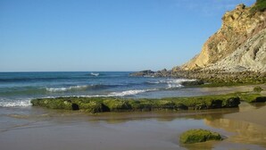 Una playa con un acantilado rocoso y rocas cubiertas de musgo verde en el agua.