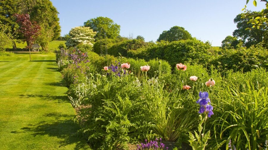 Cleavers Lyng - Guest house