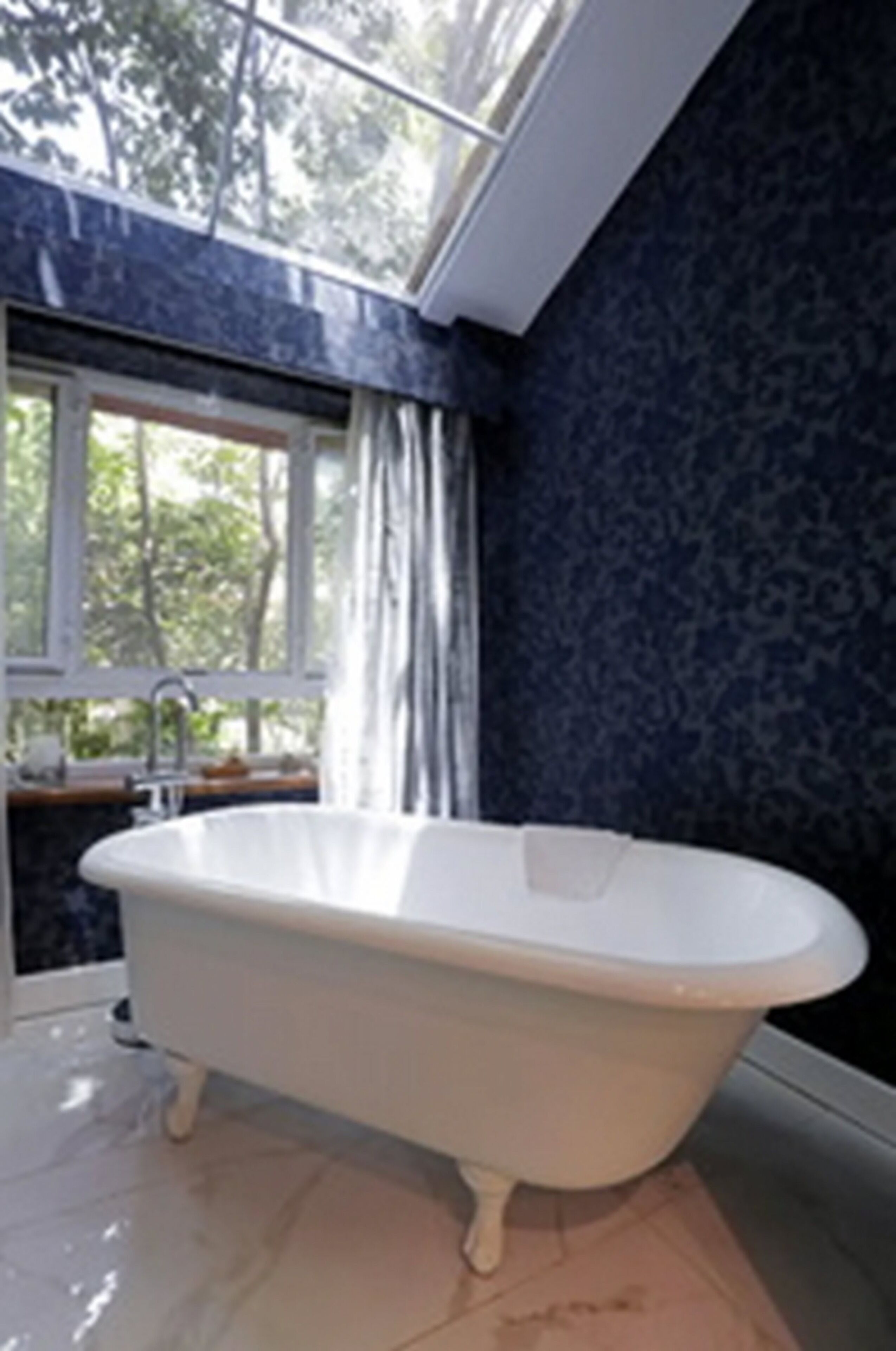 junior suite | view from room