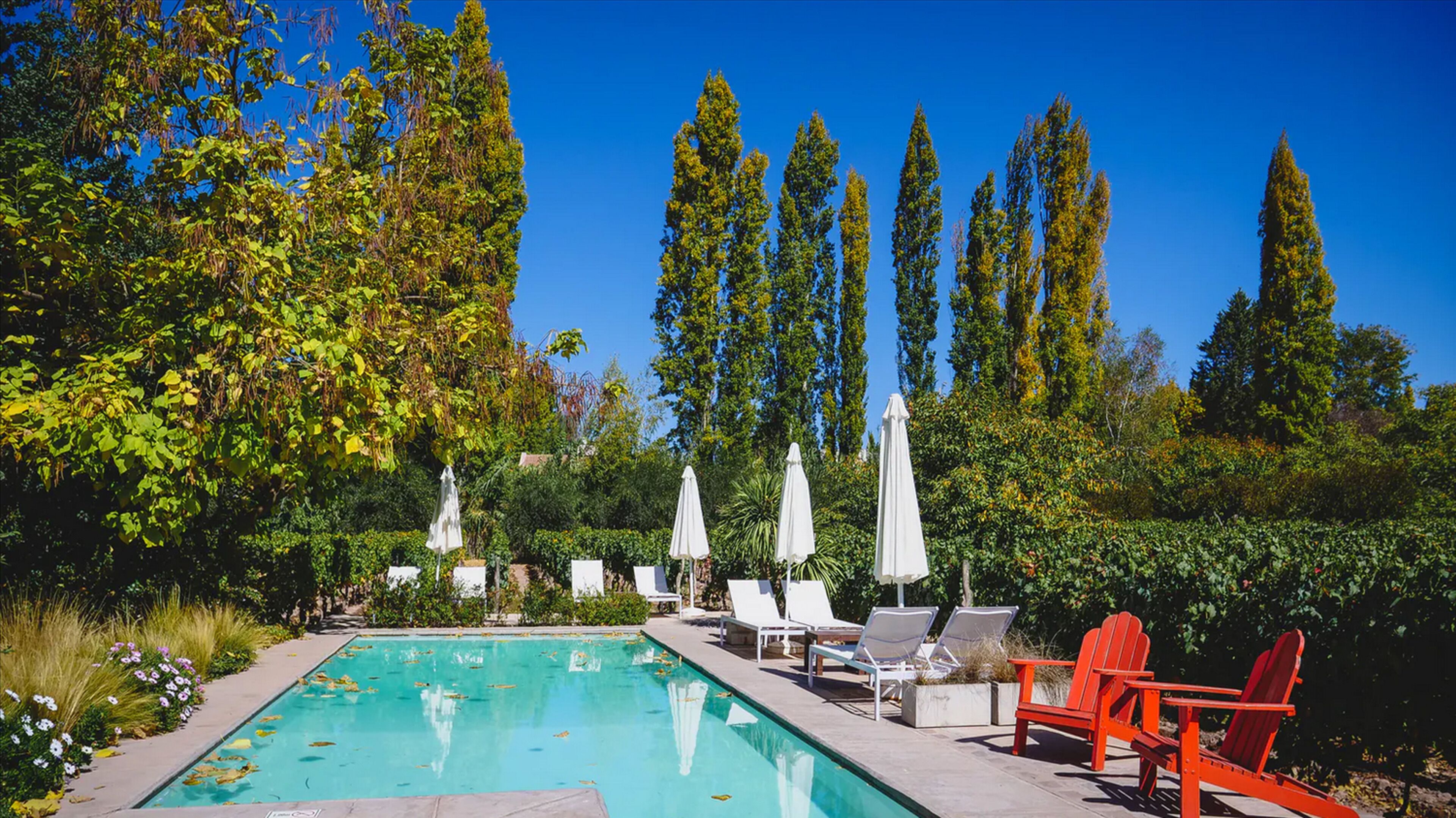 body treatments, facials, manicures and pedicures, massages