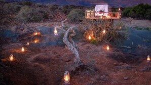 Un paysage désertique avec un arbre au premier plan et un bâtiment abritant un hôtel-restaurant en arrière-plan.