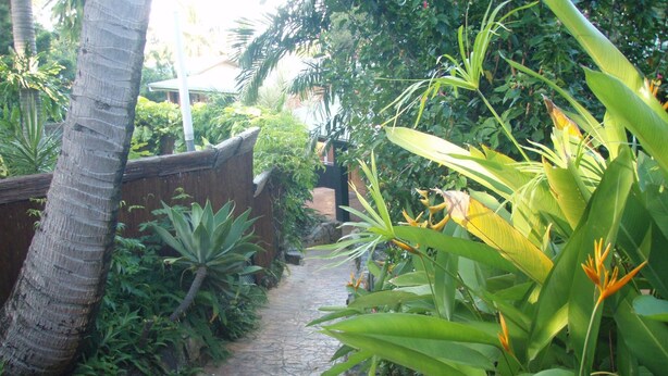 Property grounds - Airlie Beach Motor Lodge (Airlie Beach)