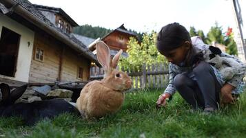 Children's activities