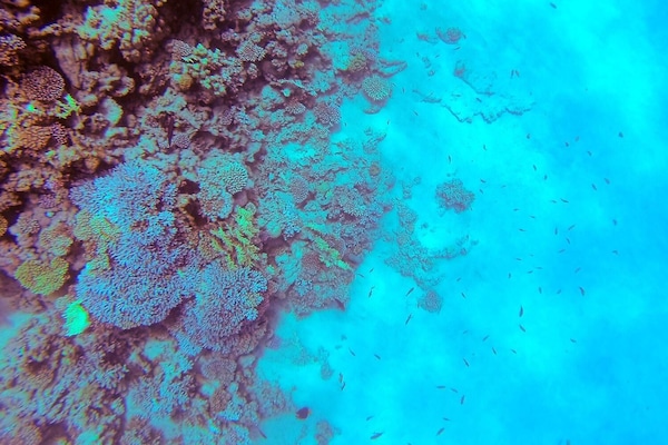 Platja privada, platja de sorra blanca i para-sols per a la platja