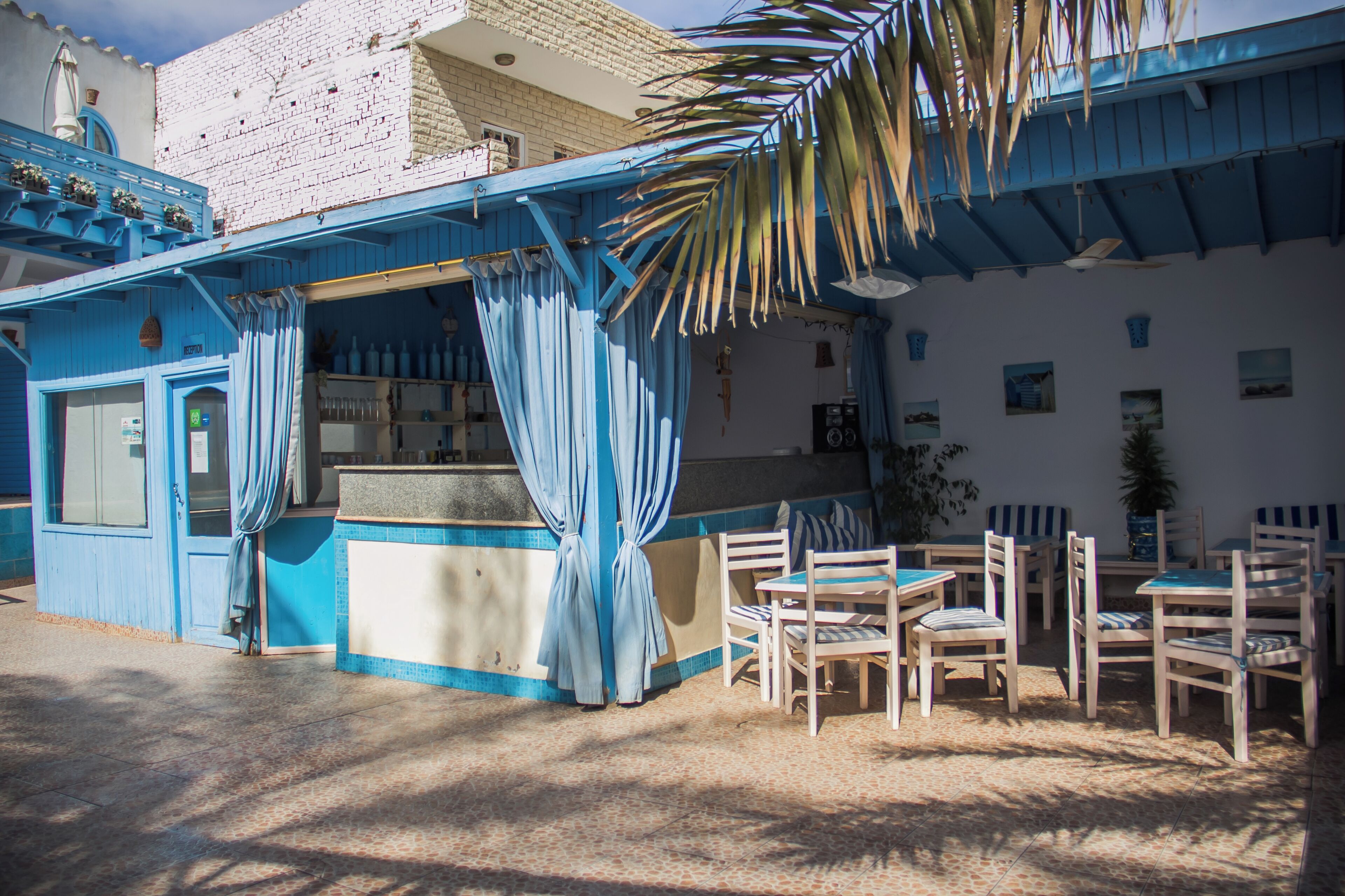 Un edificio azul con zona de bar, terraza y una palmera.
