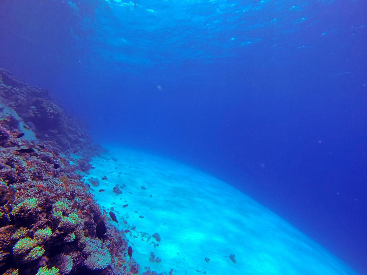 Privatstrand, weißer Sandstrand, Sonnenschirme