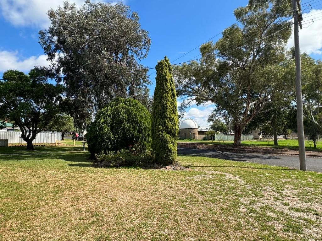 A grassy area with a tall, narrow tree and a building with a dome in the background.