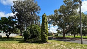 A grassy area with a tall, narrow tree and a building with a dome in the background.