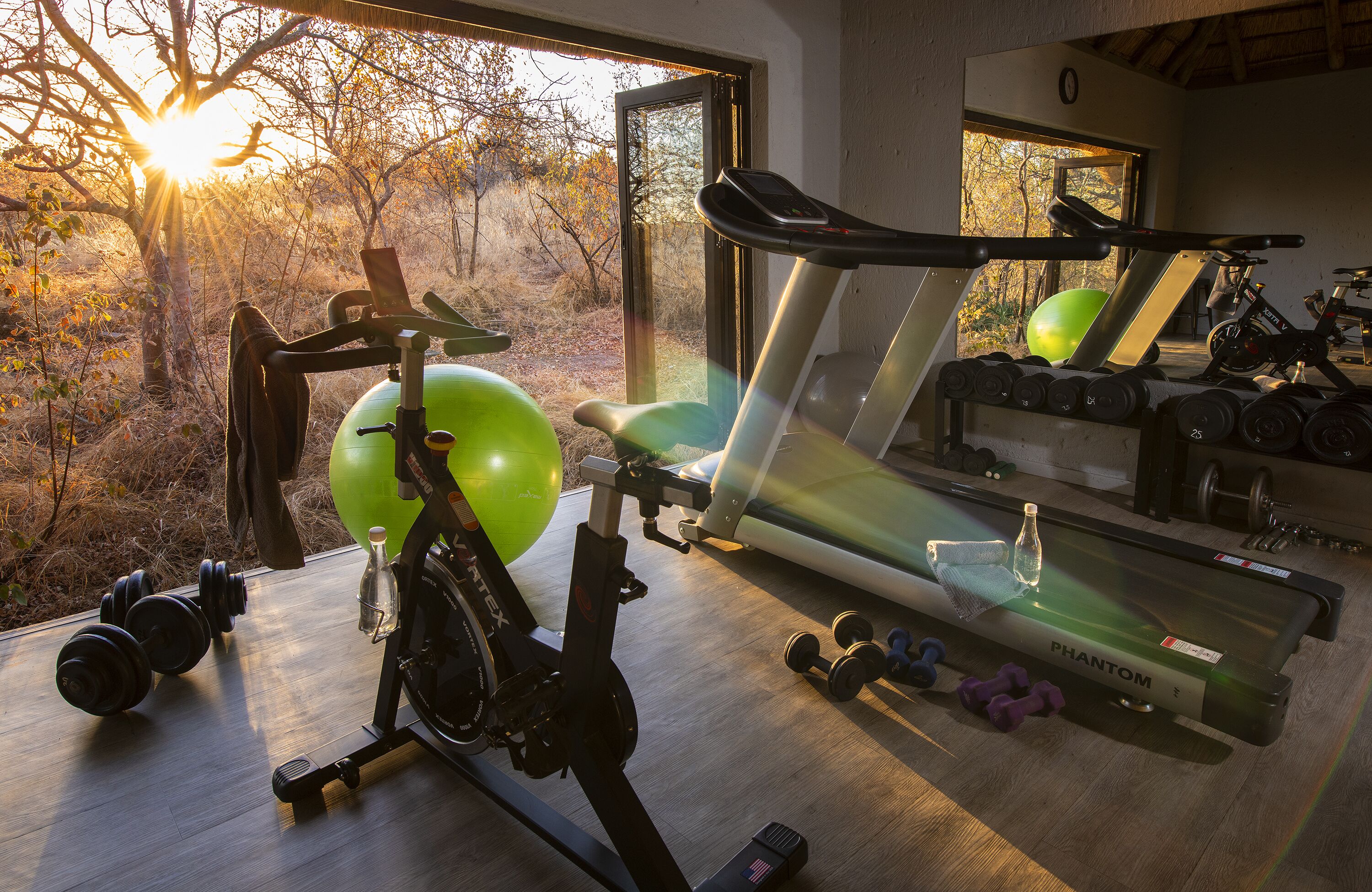 A home gym with a treadmill, exercise bike, and various weights.