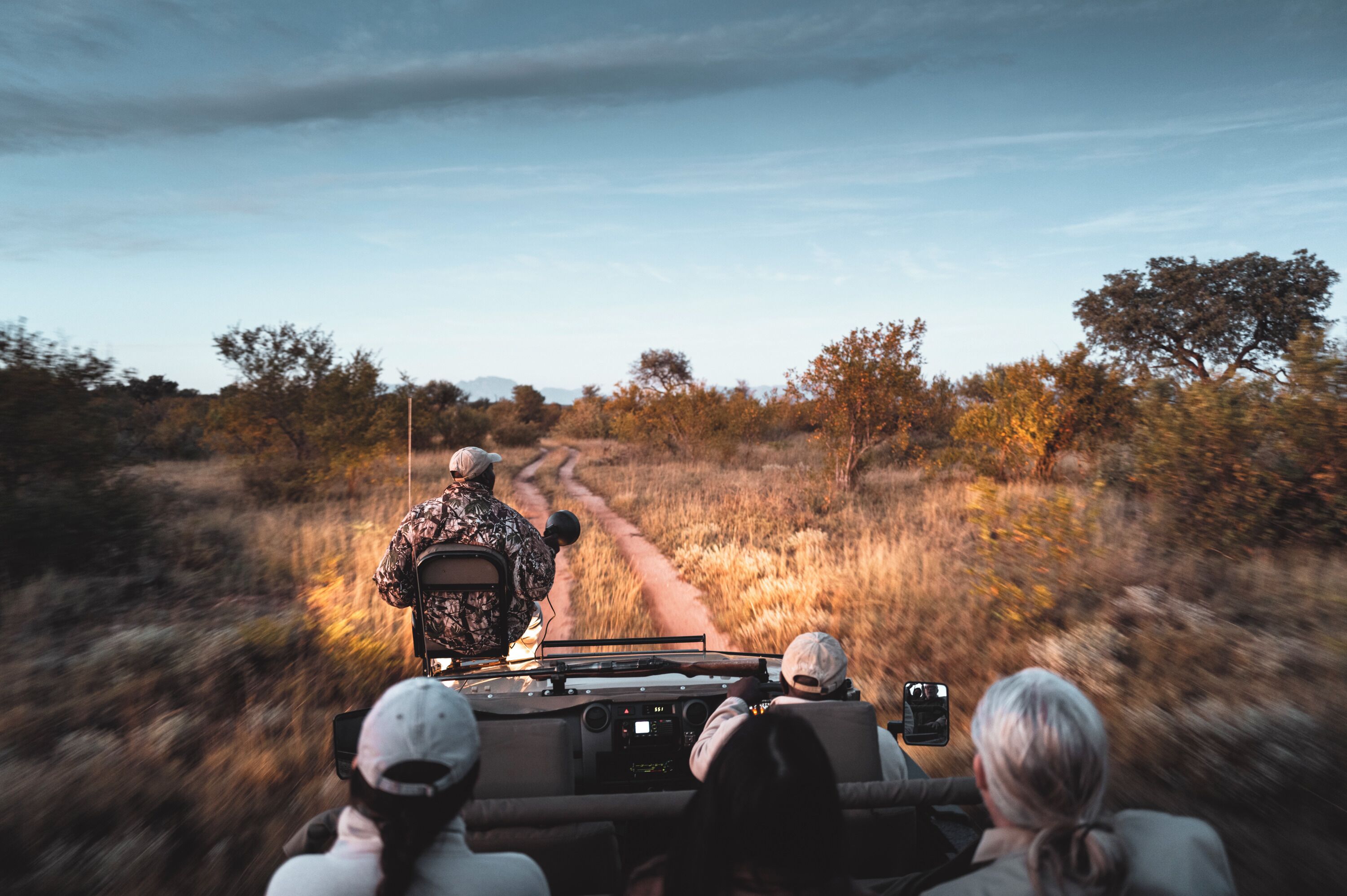 Safari