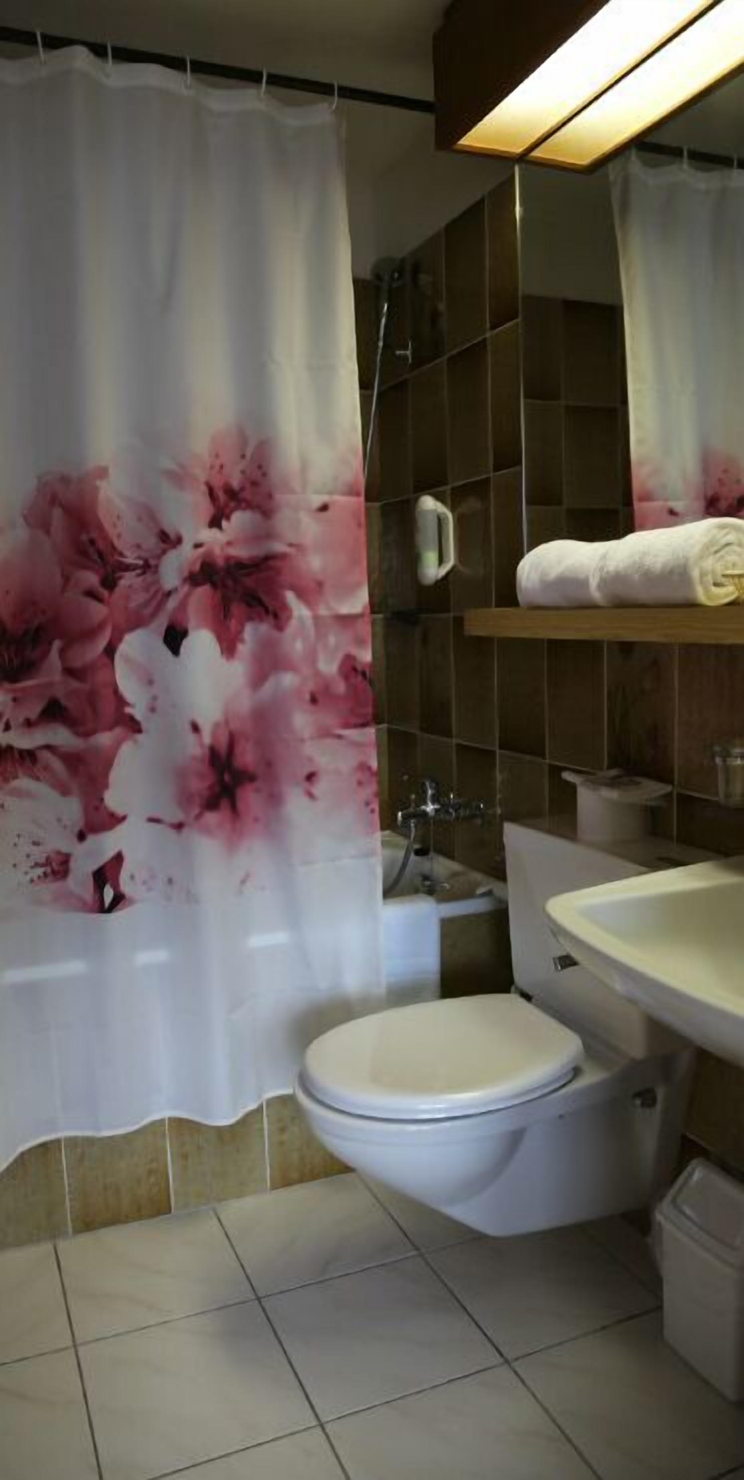 standard double room | bathroom | bathtub, free toiletries, hair dryer, towels