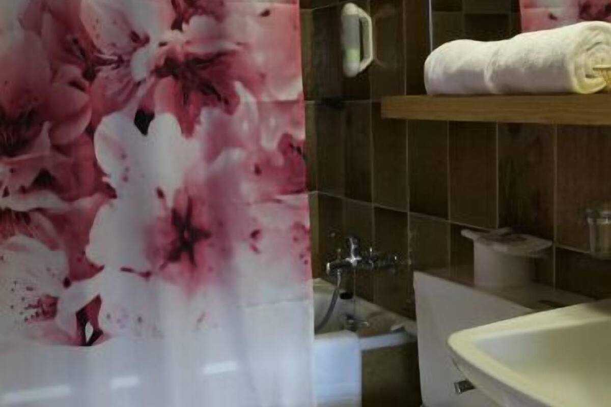 standard double room | bathroom | bathtub, free toiletries, hair dryer, towels