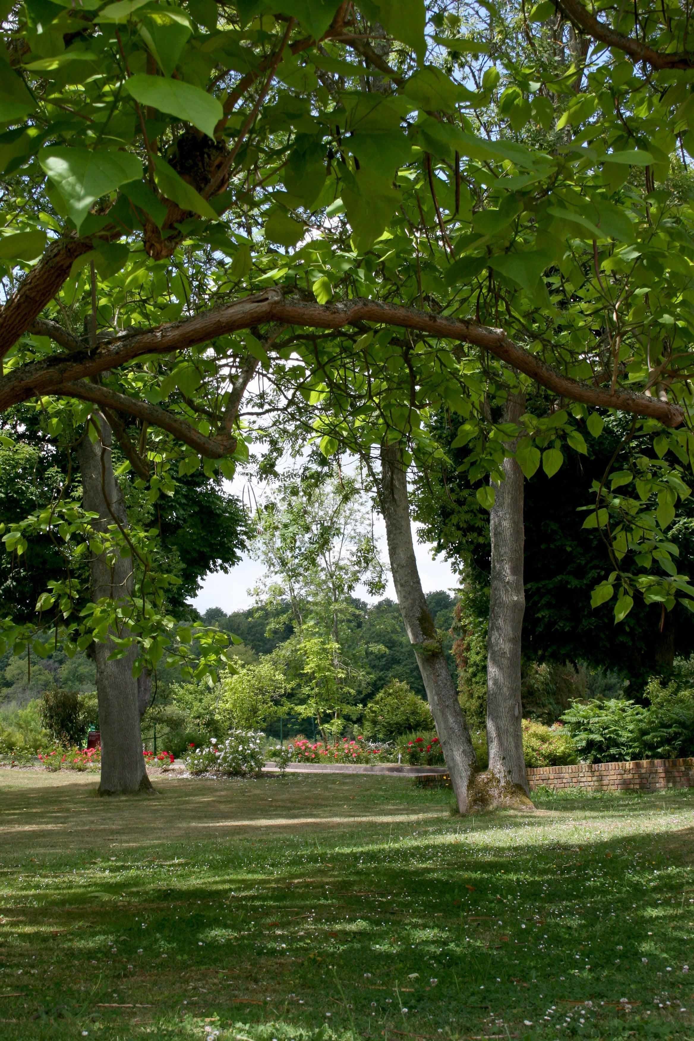 บริเวณภายนอก