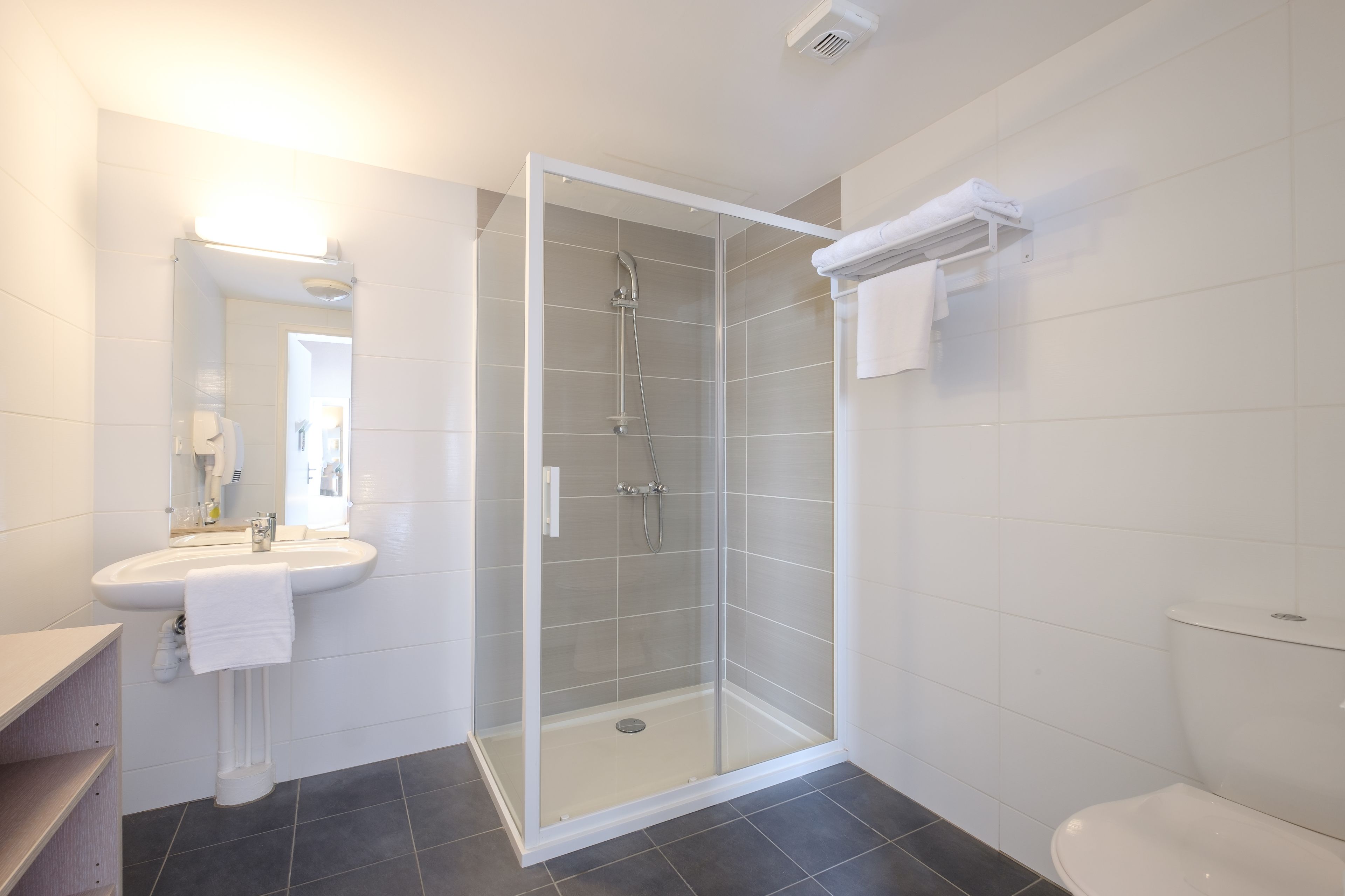 A modern bathroom with a glass-enclosed shower, a sink with a mirror, and a toilet.
