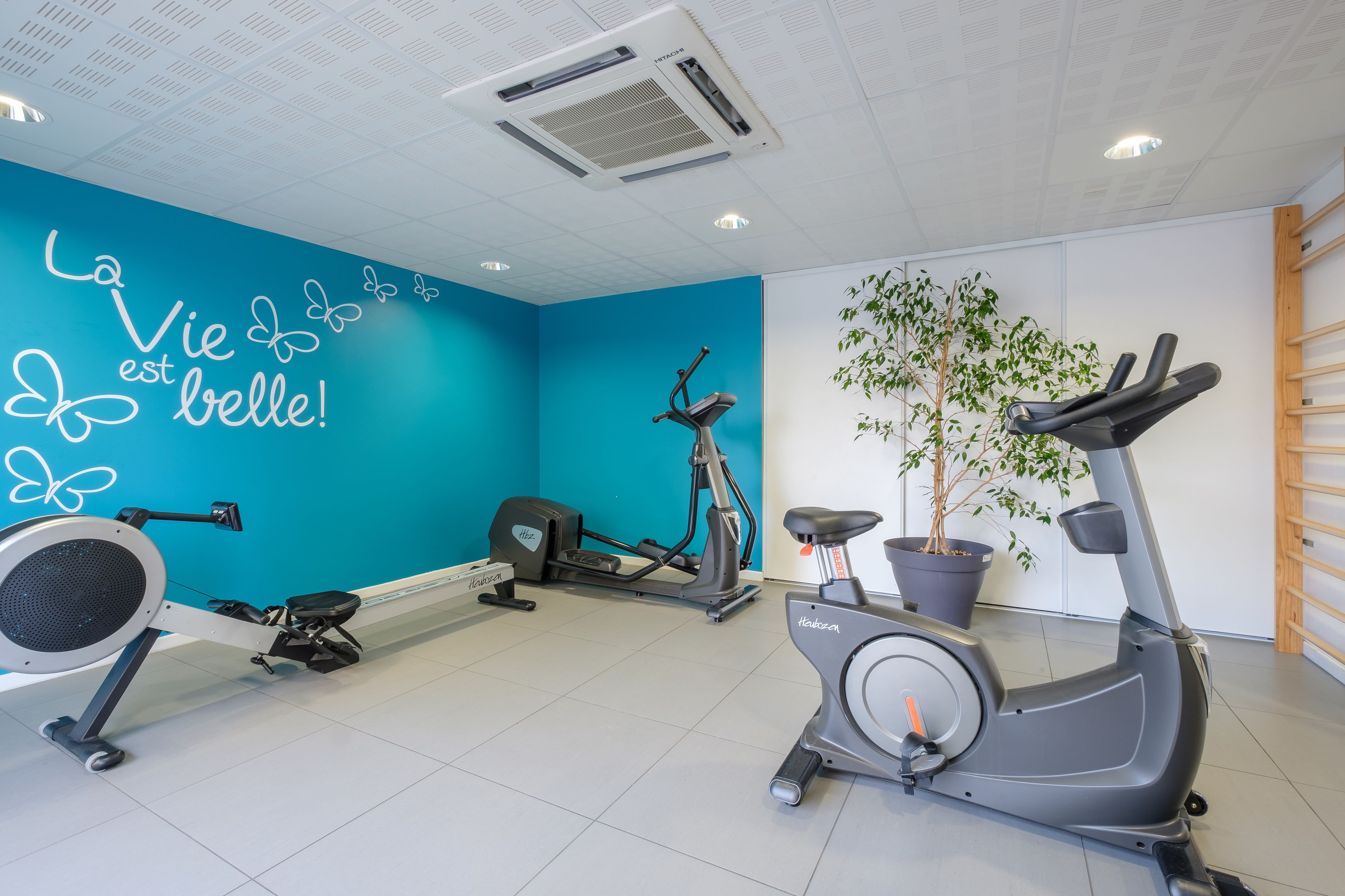 Un gimnasio con equipo de ejercicio, una pared azul con texto motivacional y una planta en maceta.