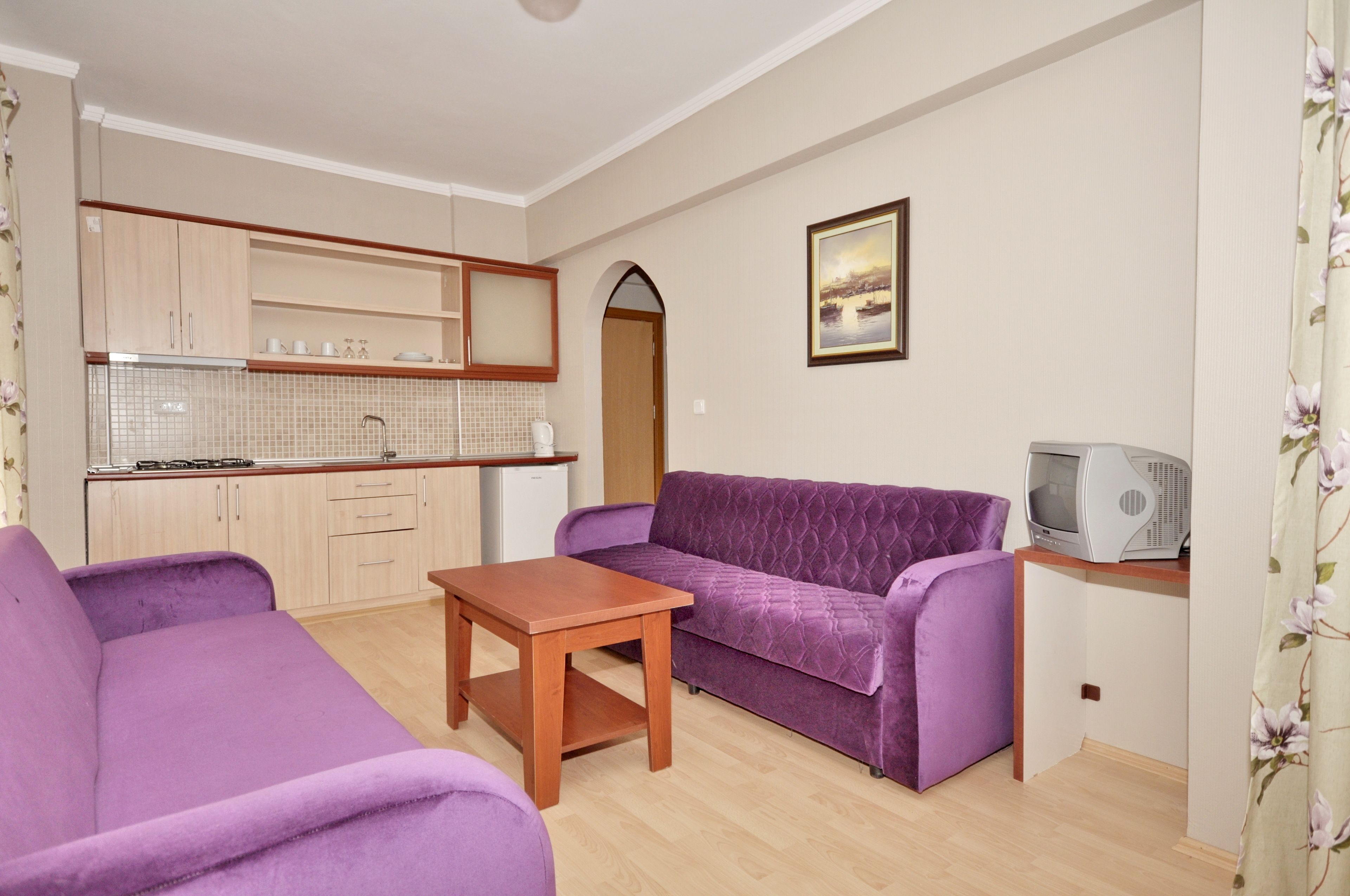 Un espacio habitable compacto con kitchenette, sofá púrpura, mesa de madera y televisor sobre un mueble.