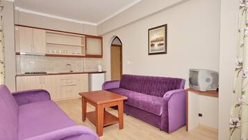 Un espacio habitable compacto con kitchenette, sofá púrpura, mesa de madera y televisor sobre un mueble.