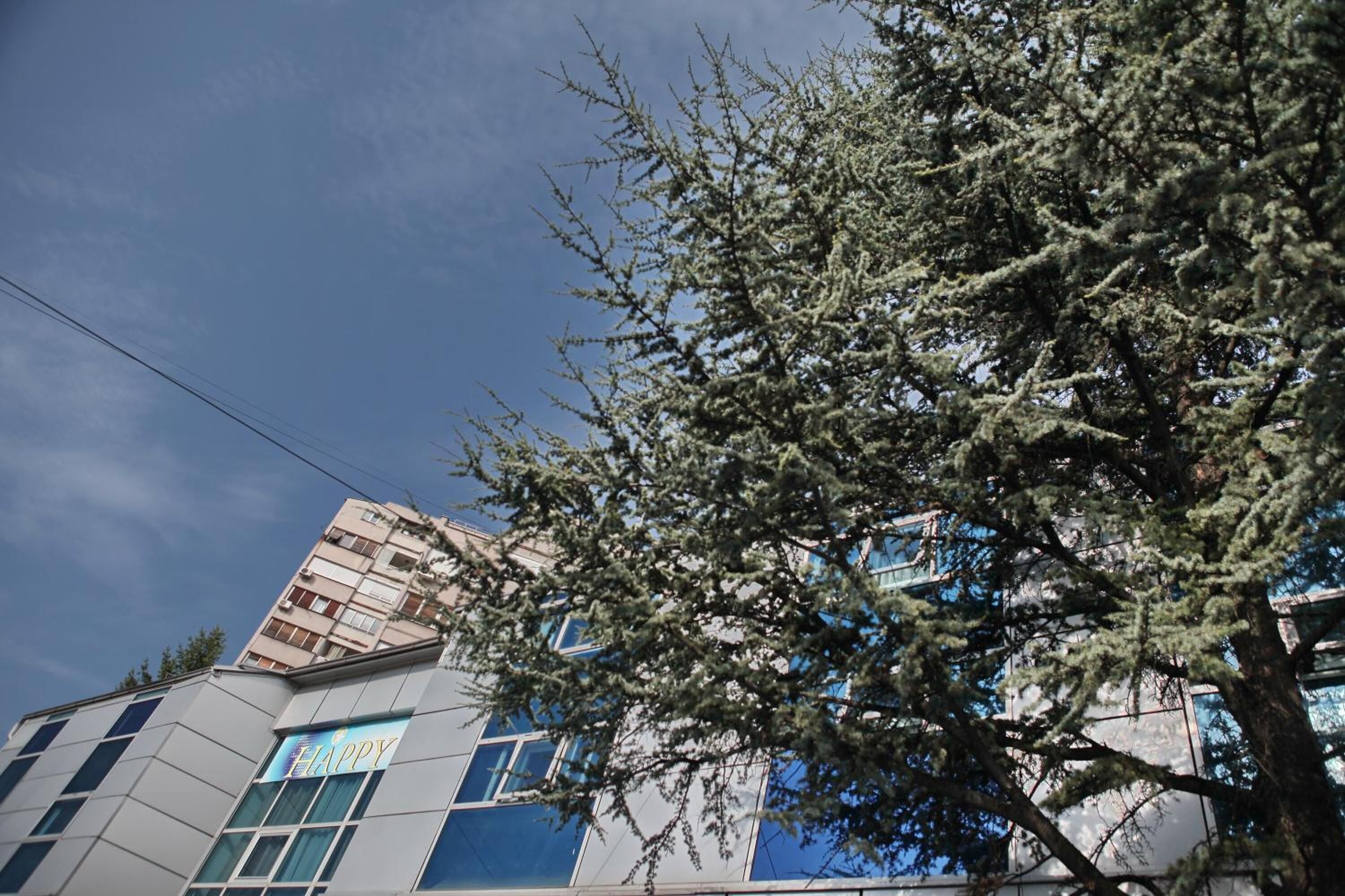 Foto - Happy Star Club