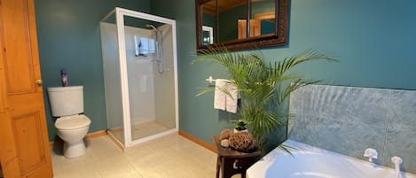 A bathroom with a shower, toilet, and bathtub.