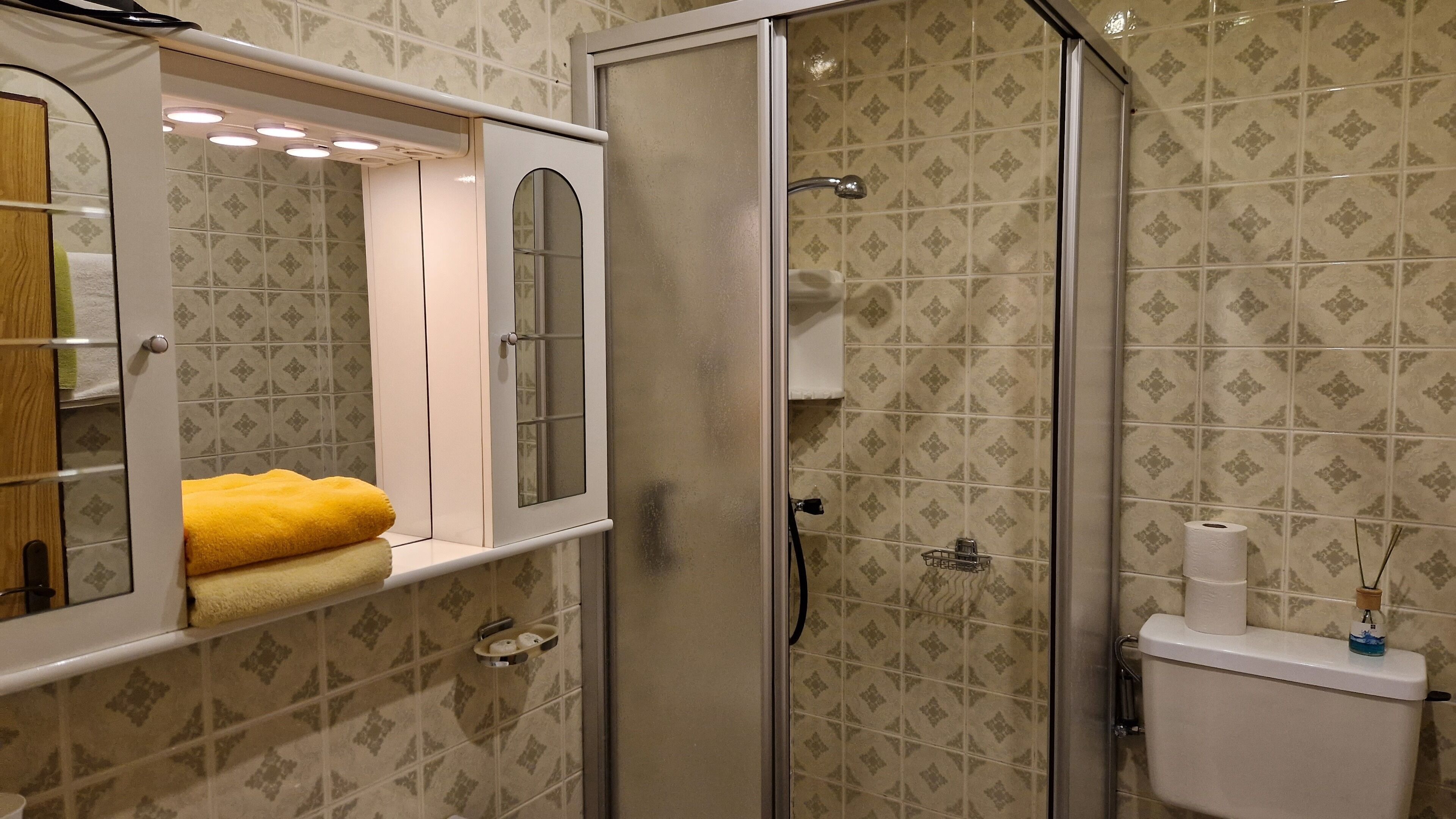Ein Badezimmer mit Duschkabine, Toilette und Ablage für Handtücher.