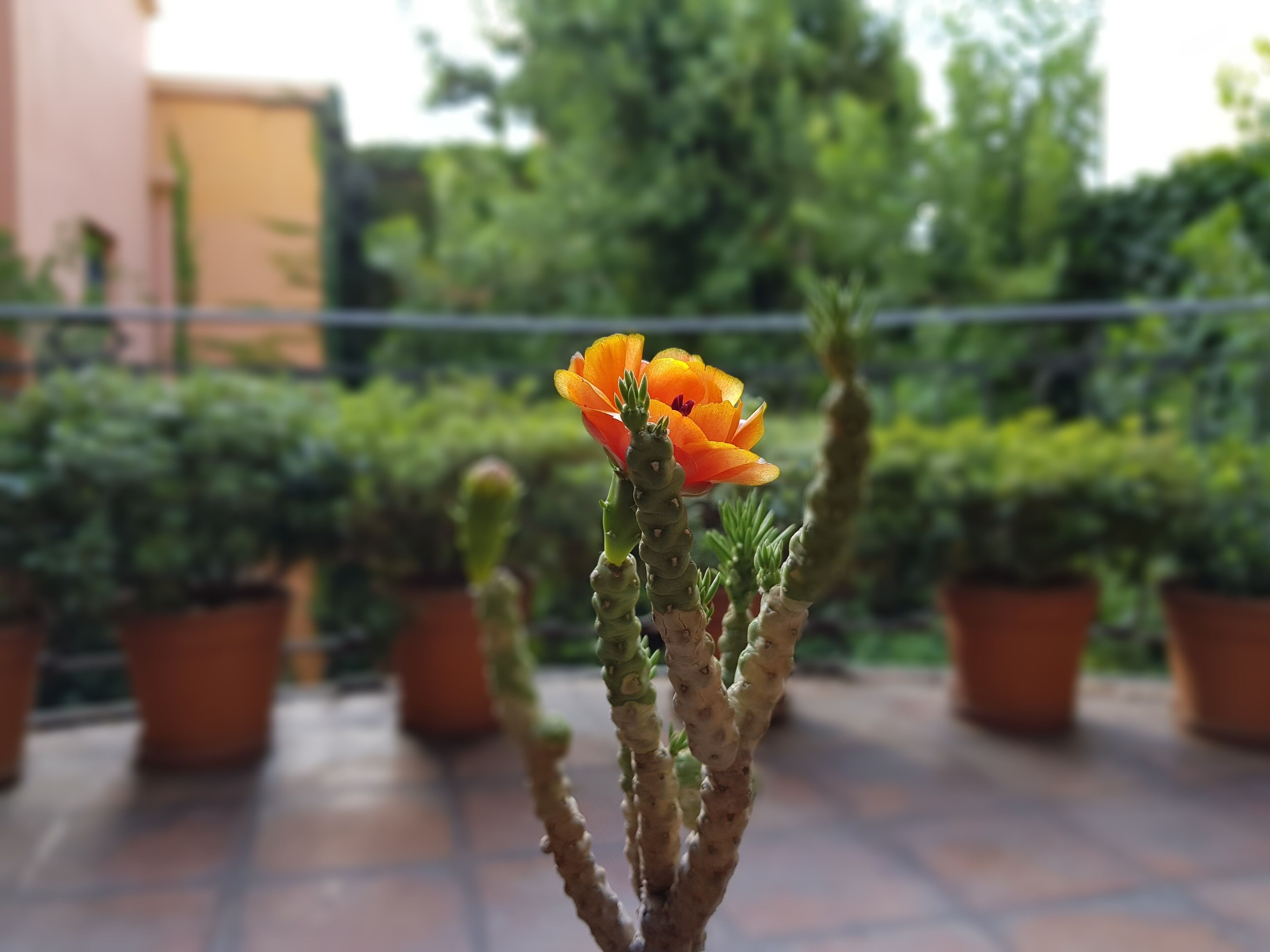 Photo - Legado Mitico Salta Hotel Boutique