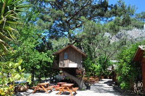 Interior - Turkmen Tree Houses (Kumluca)