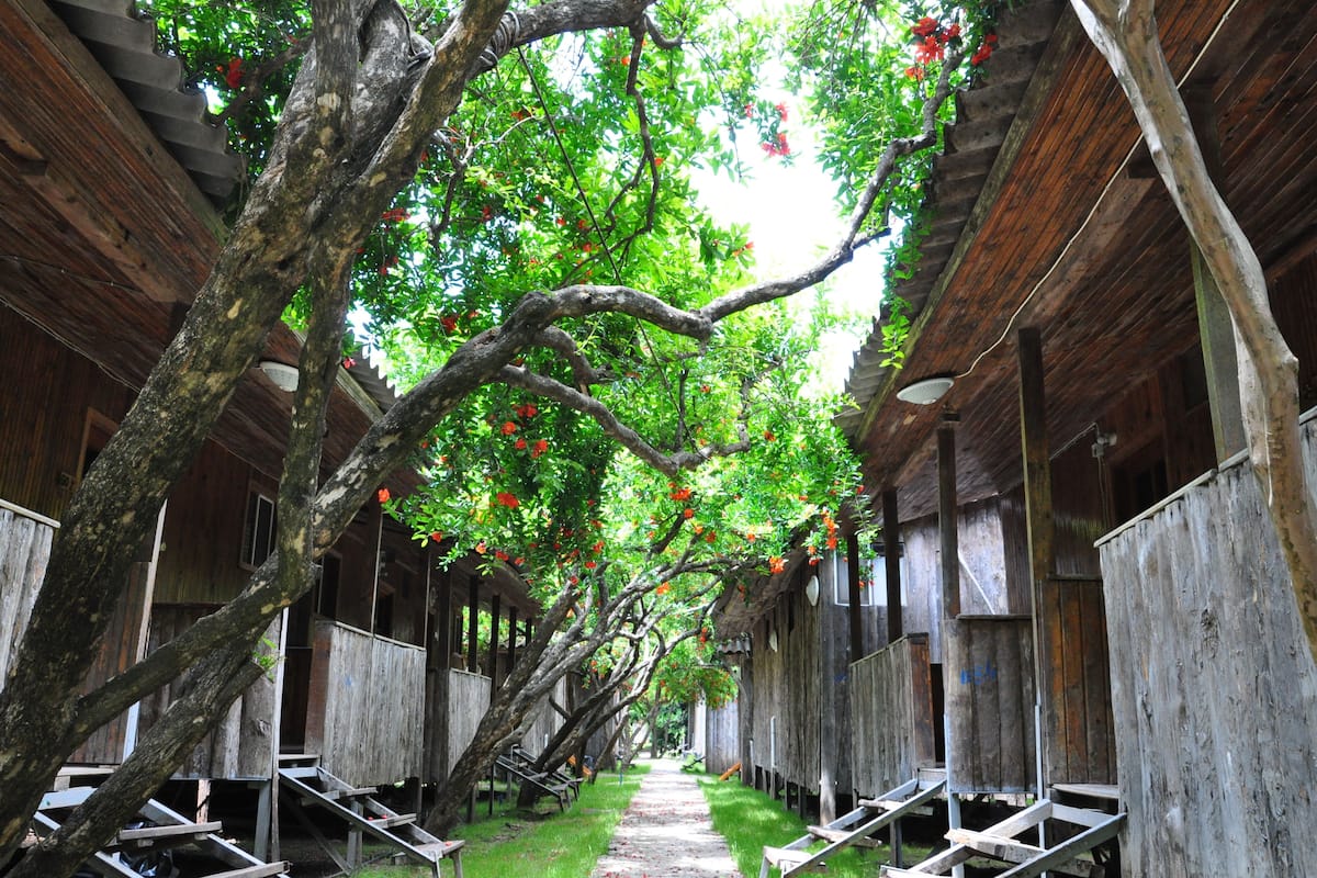 Ücretsiz kablosuz İnternet, çarşaf takımı