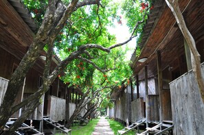 Free WiFi, bed sheets - Turkmen Tree Houses (Kumluca)