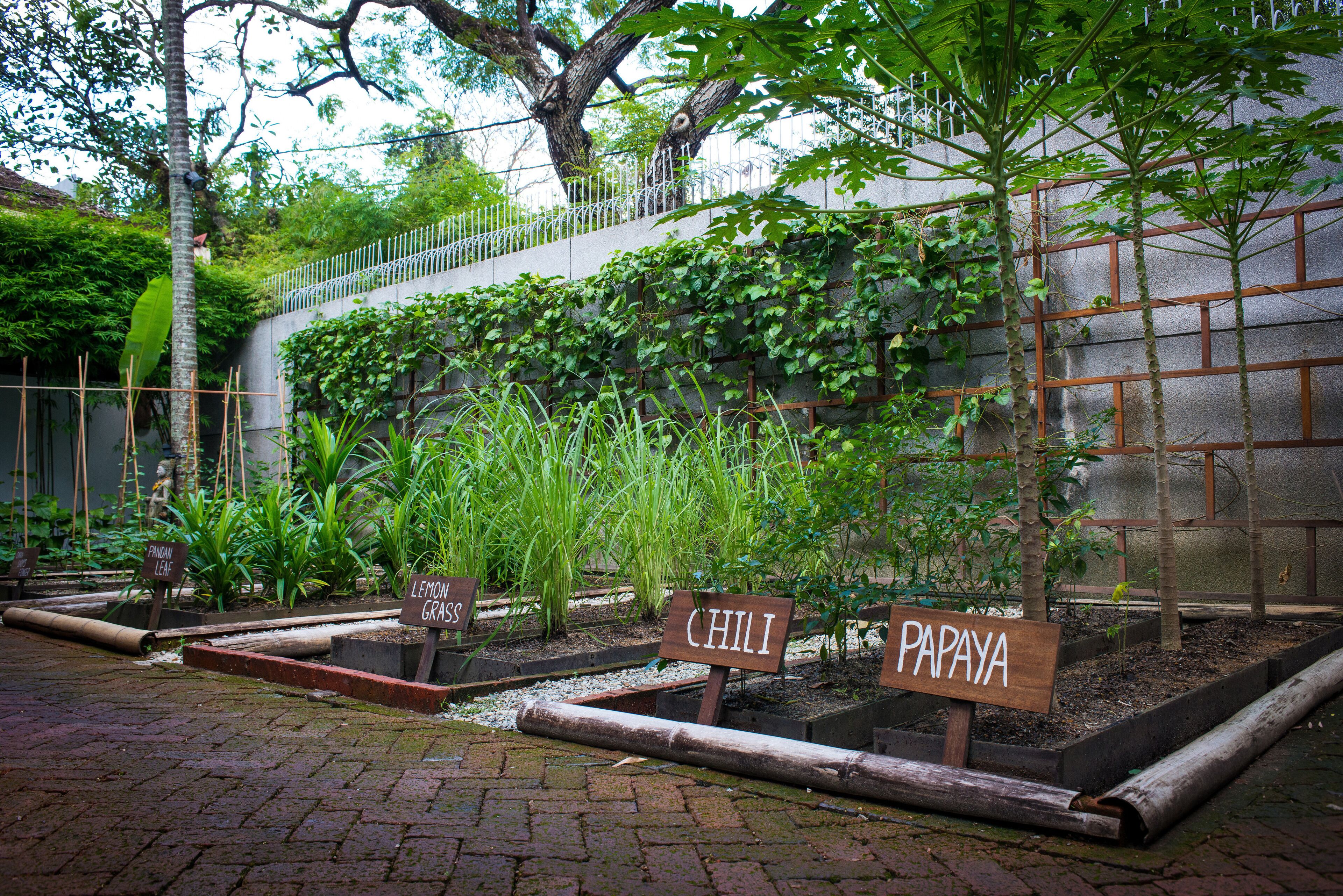 Foto - Villa Samadhi by Samadhi