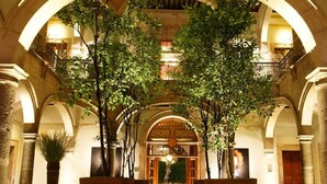 Un patio interior con arcos, plantas en macetas y una puerta de madera al final.