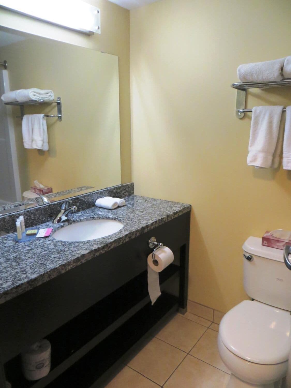 A bathroom with a granite countertop sink, a mirror, a toilet, and a towel rack.