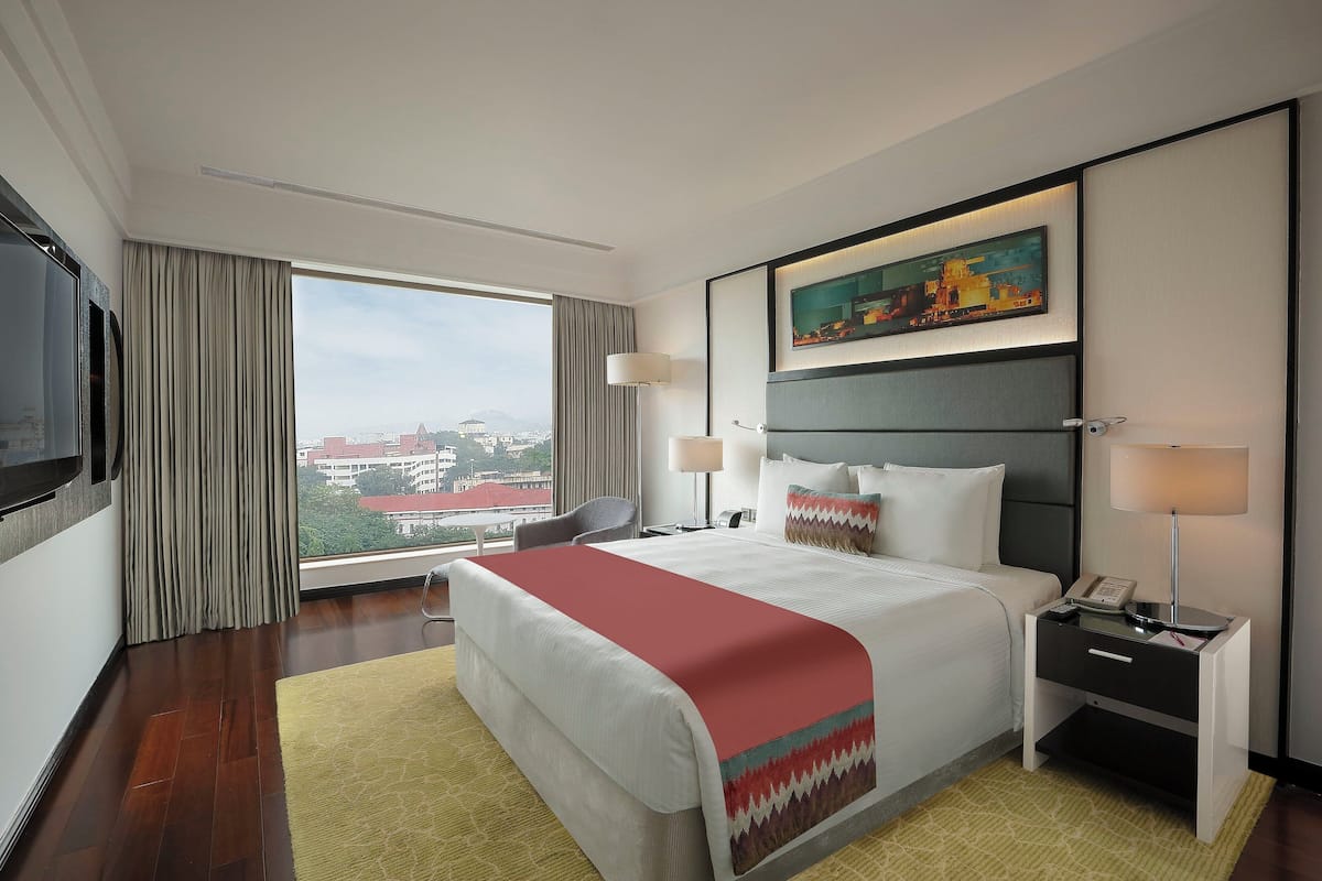 1 quarto, roupas de cama de algodão egípcio, roupas de cama premium