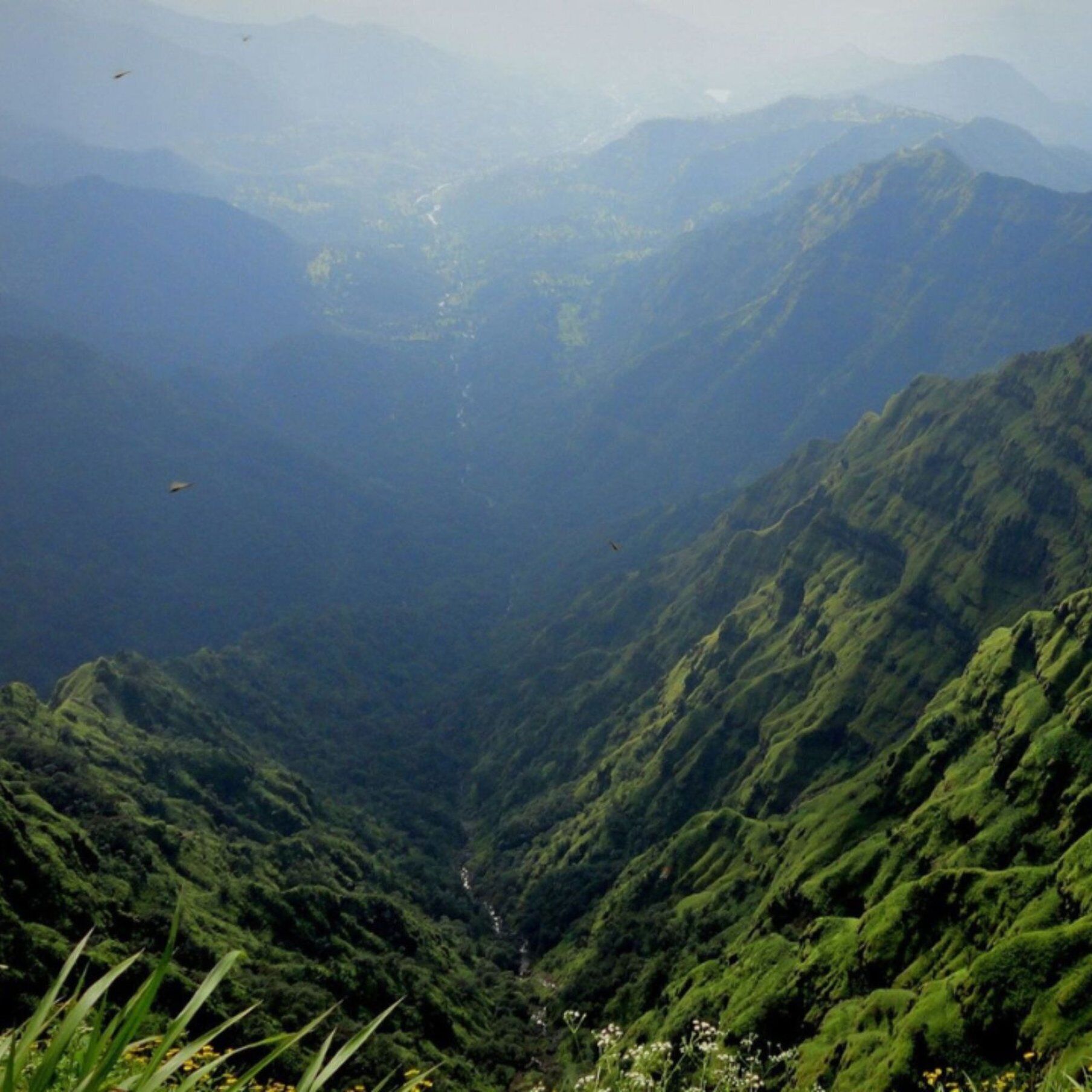 A mountainous landscape with dense green vegetation and a visible road.