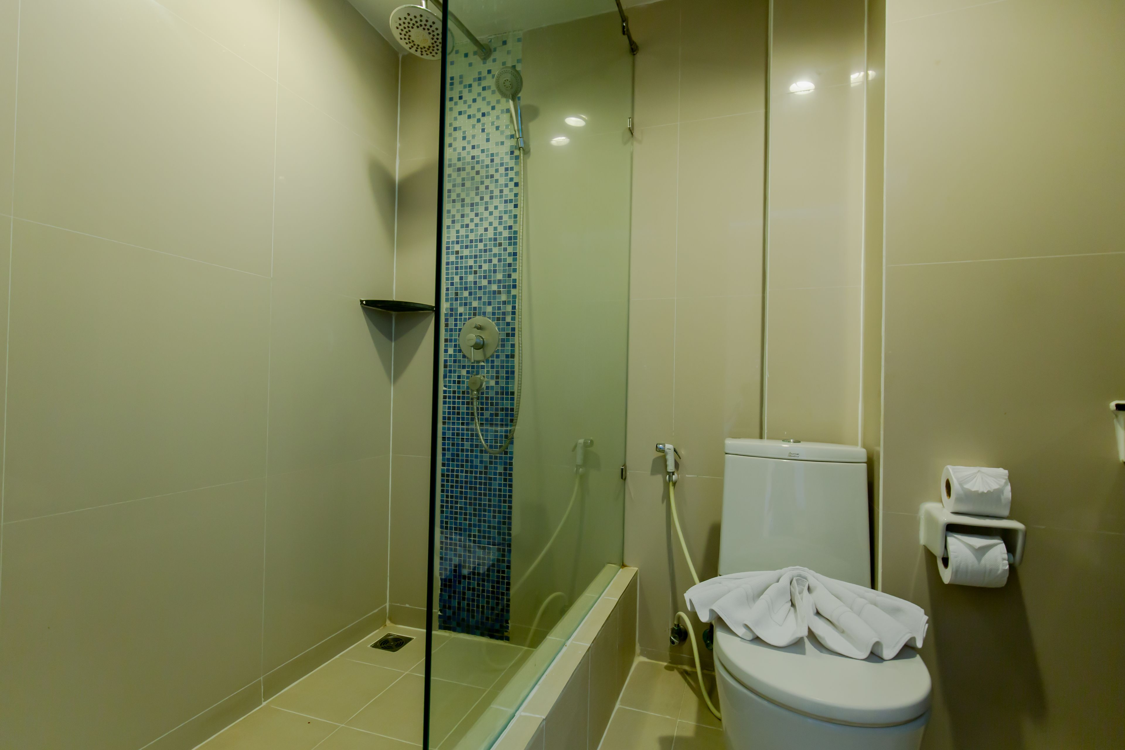 Une salle de bain avec une douche à parois de verre, des toilettes et un porte-serviettes.