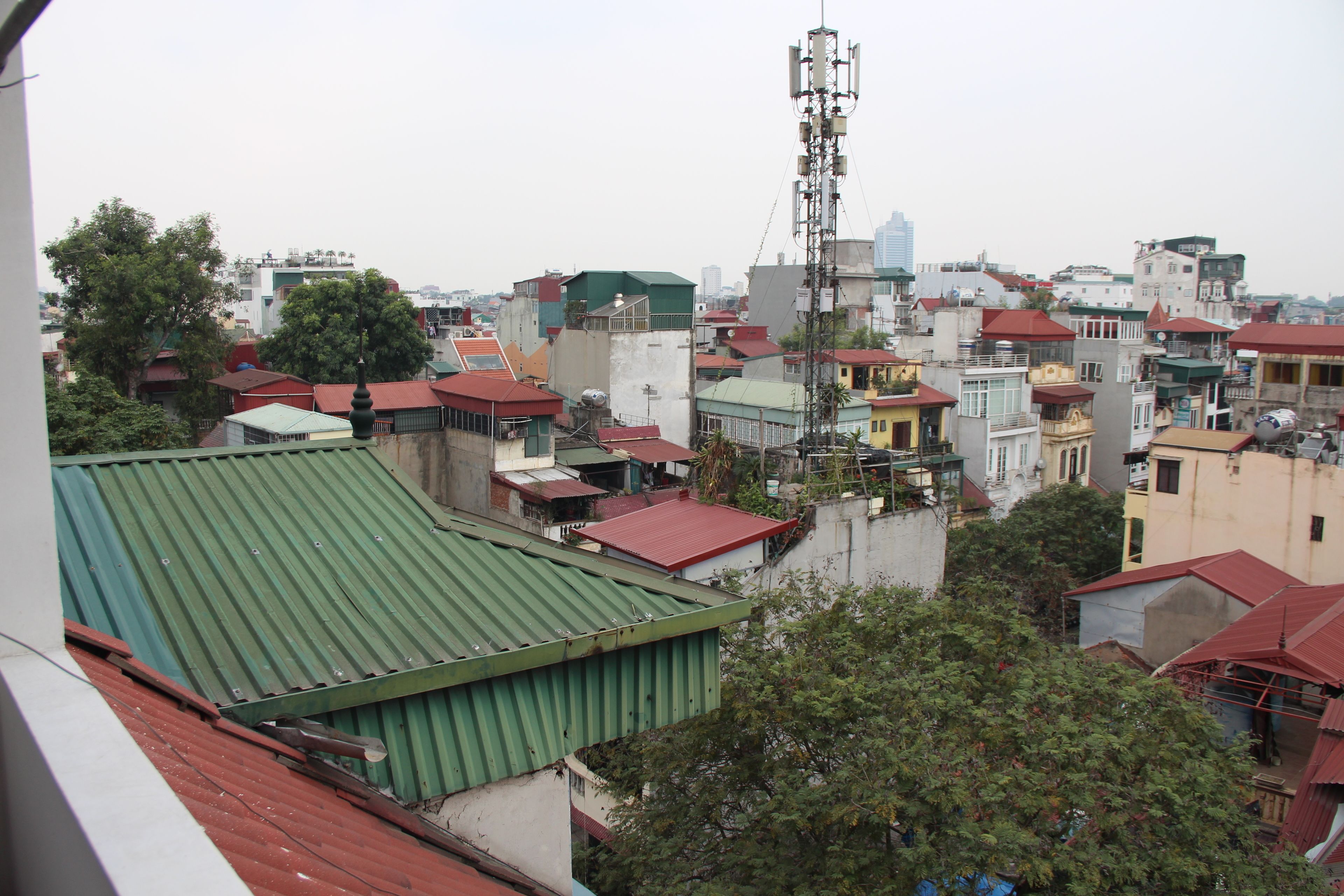 junior suite | view from room