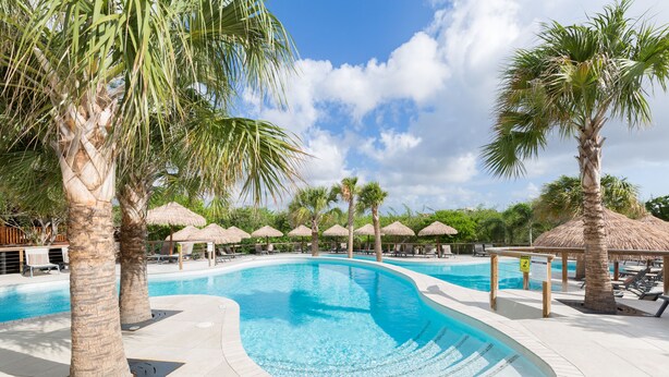 A swimming pool with palm trees and thatched umbrellas, surrounded by lounge chairs and a clear sky. - Morena Resort (Jan Thiel)