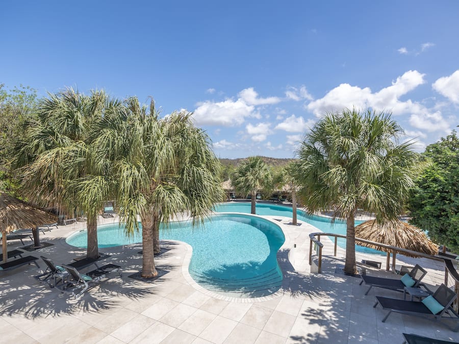 A swimming pool with lounge chairs and palm trees.