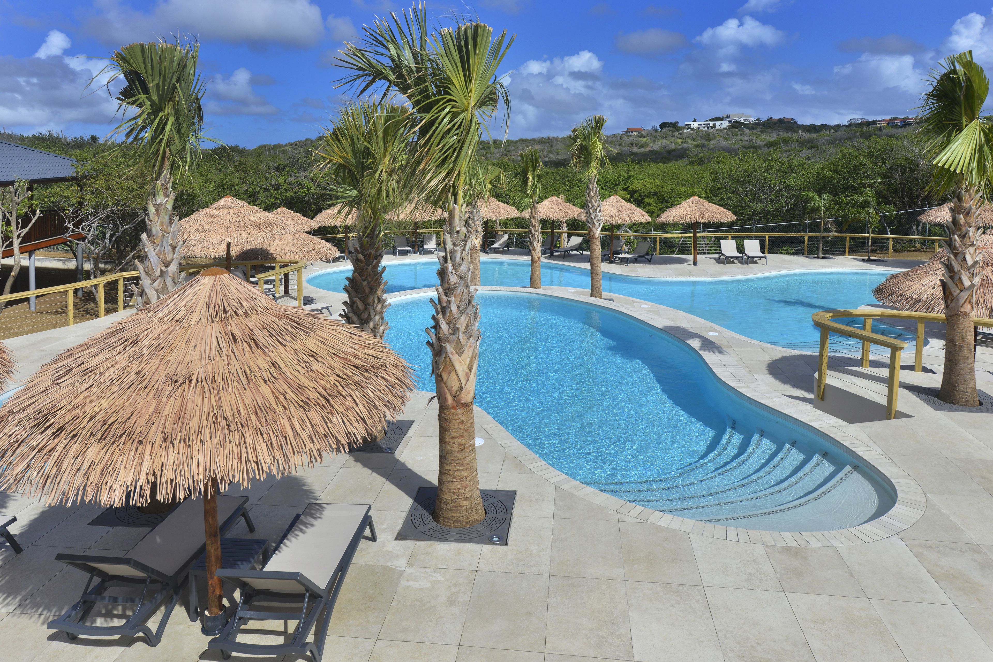 A swimming pool with lounge chairs and thatched umbrellas, surrounded by palm trees.