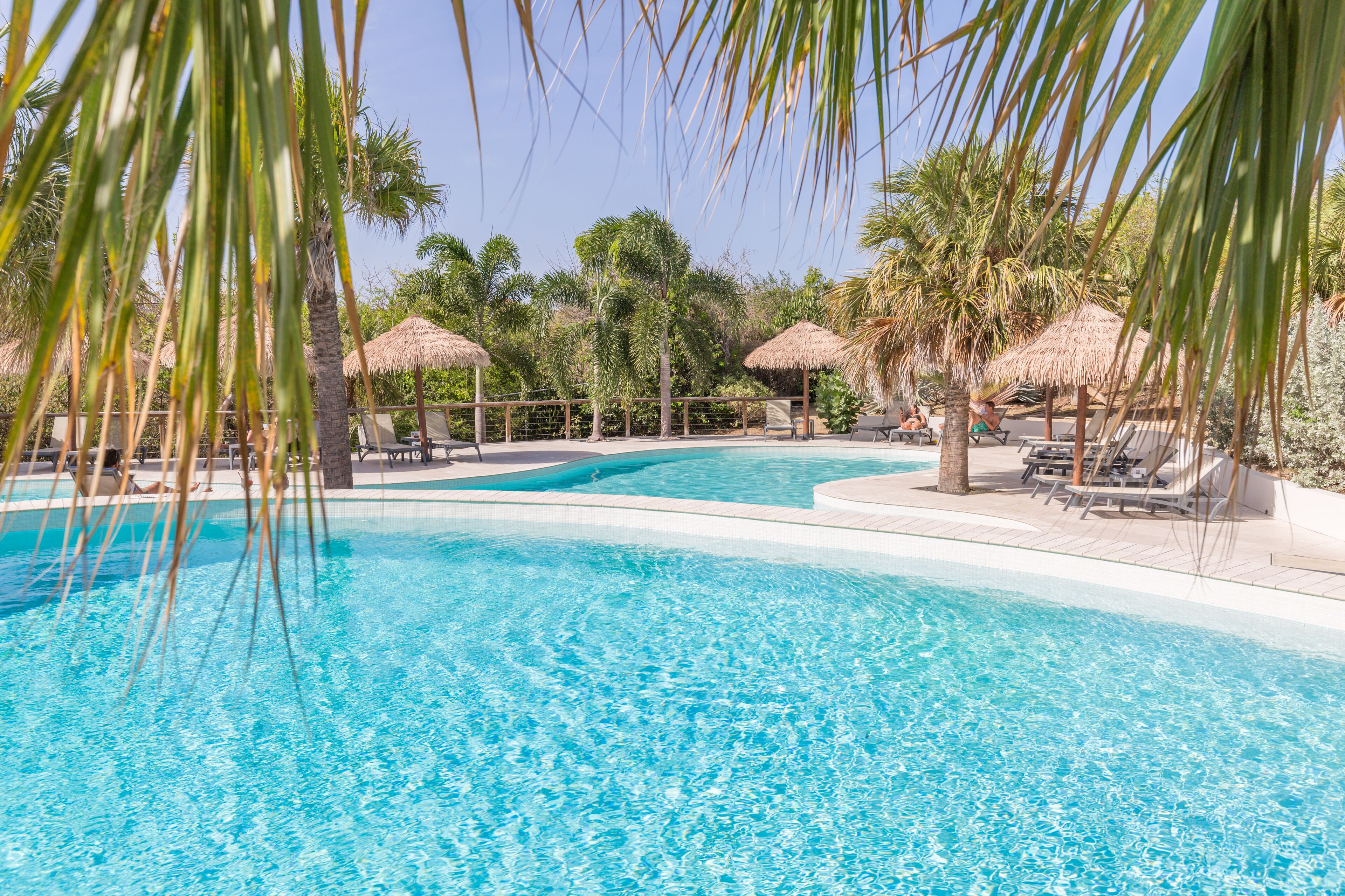 A clear blue pool surrounded by palm trees and thatched umbrellas, with lounge chairs and a fence in the background.