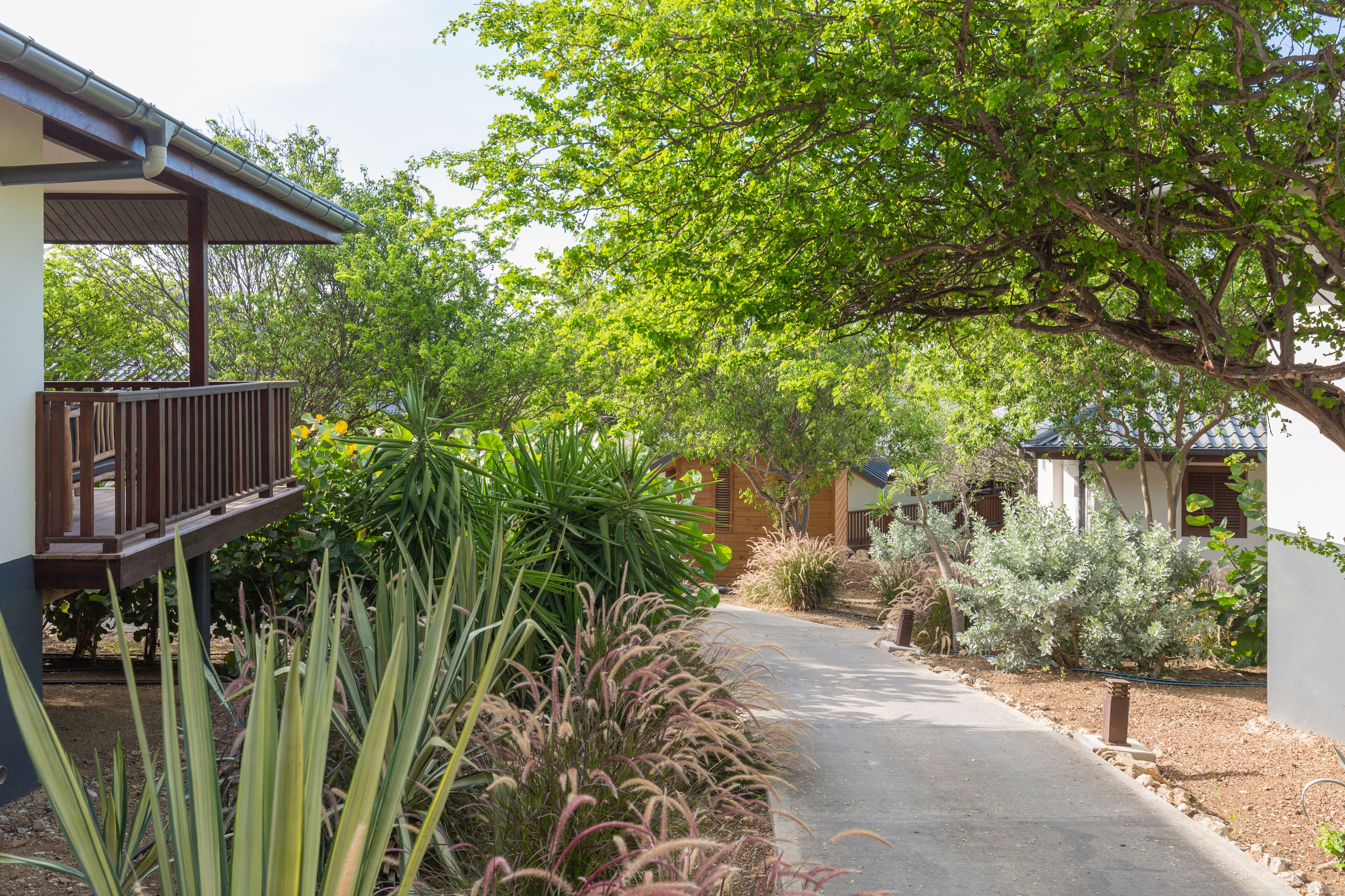A pathway leading to a building with a wooden deck and a covered porch.