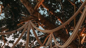 Un espace extérieur aménagé avec des tables et des fauteuils en forme de sac, situé sous un arbre et offrant une vue sur une plage où sont amarrés des bateaux.