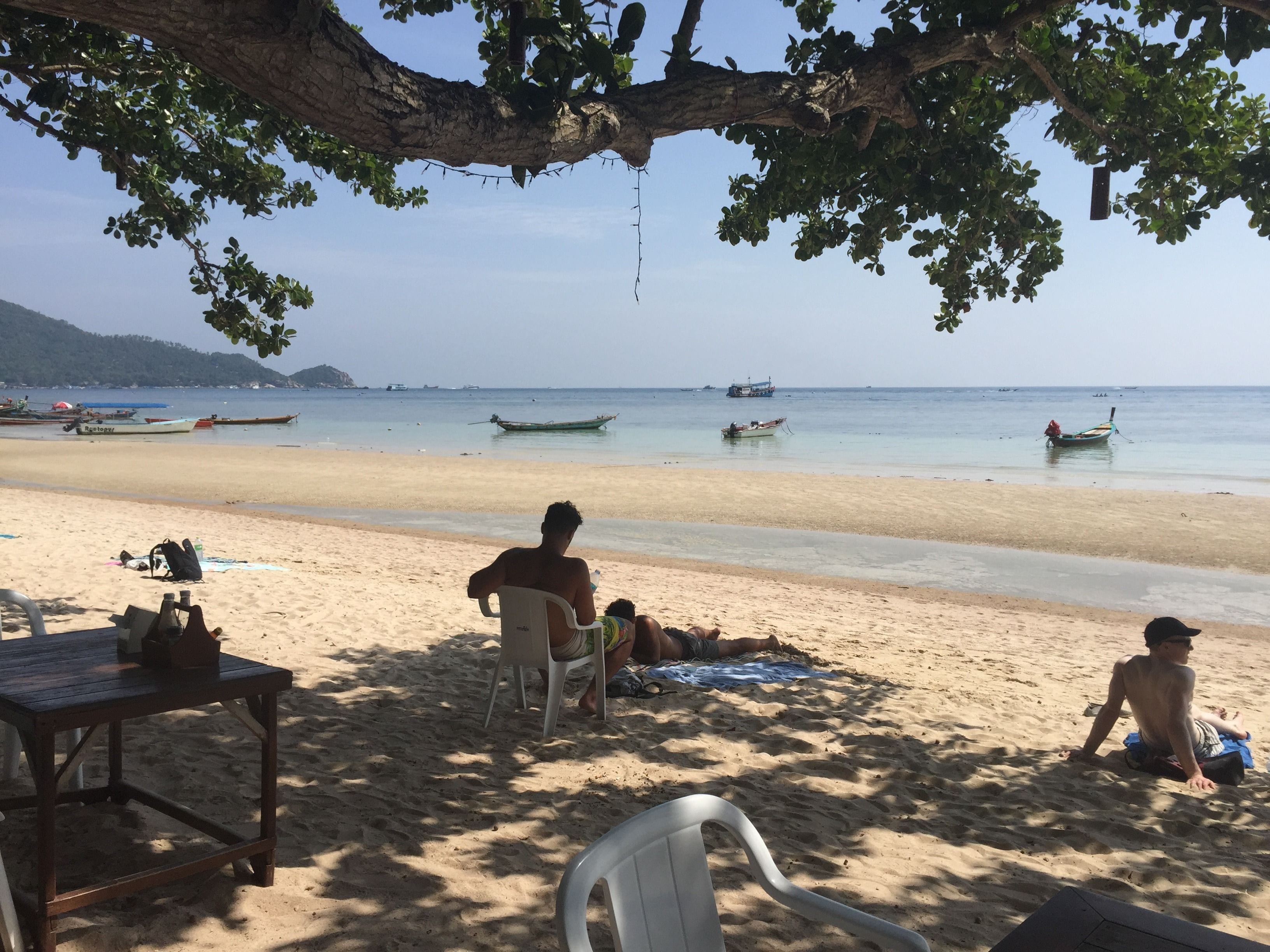 A beach with several boats in the water, people relaxing on the sand, and a tree providing shade.