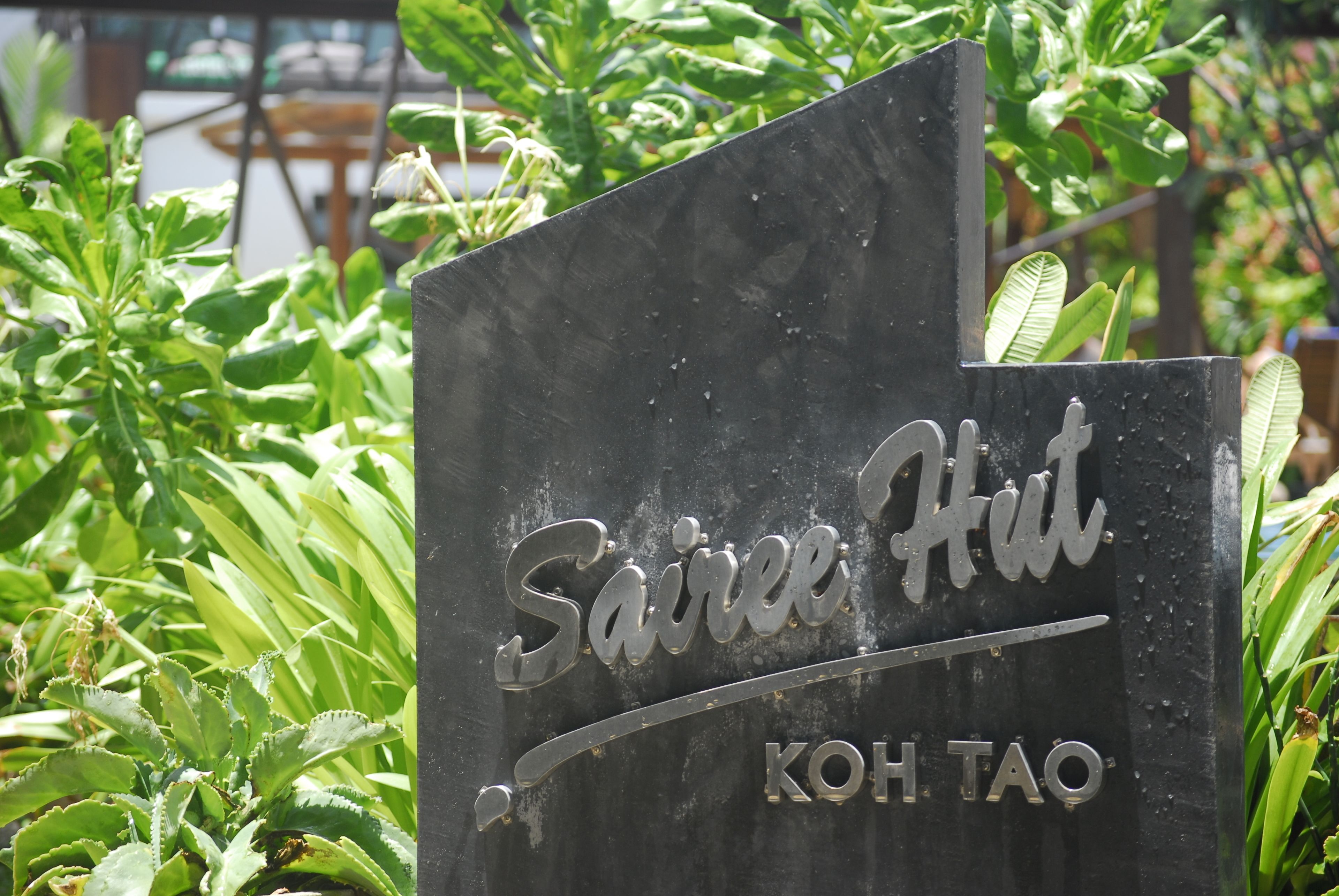 Señal para 'Sairee Hut Koh Tao' con un diseño moderno, rodeada de abundante follaje.