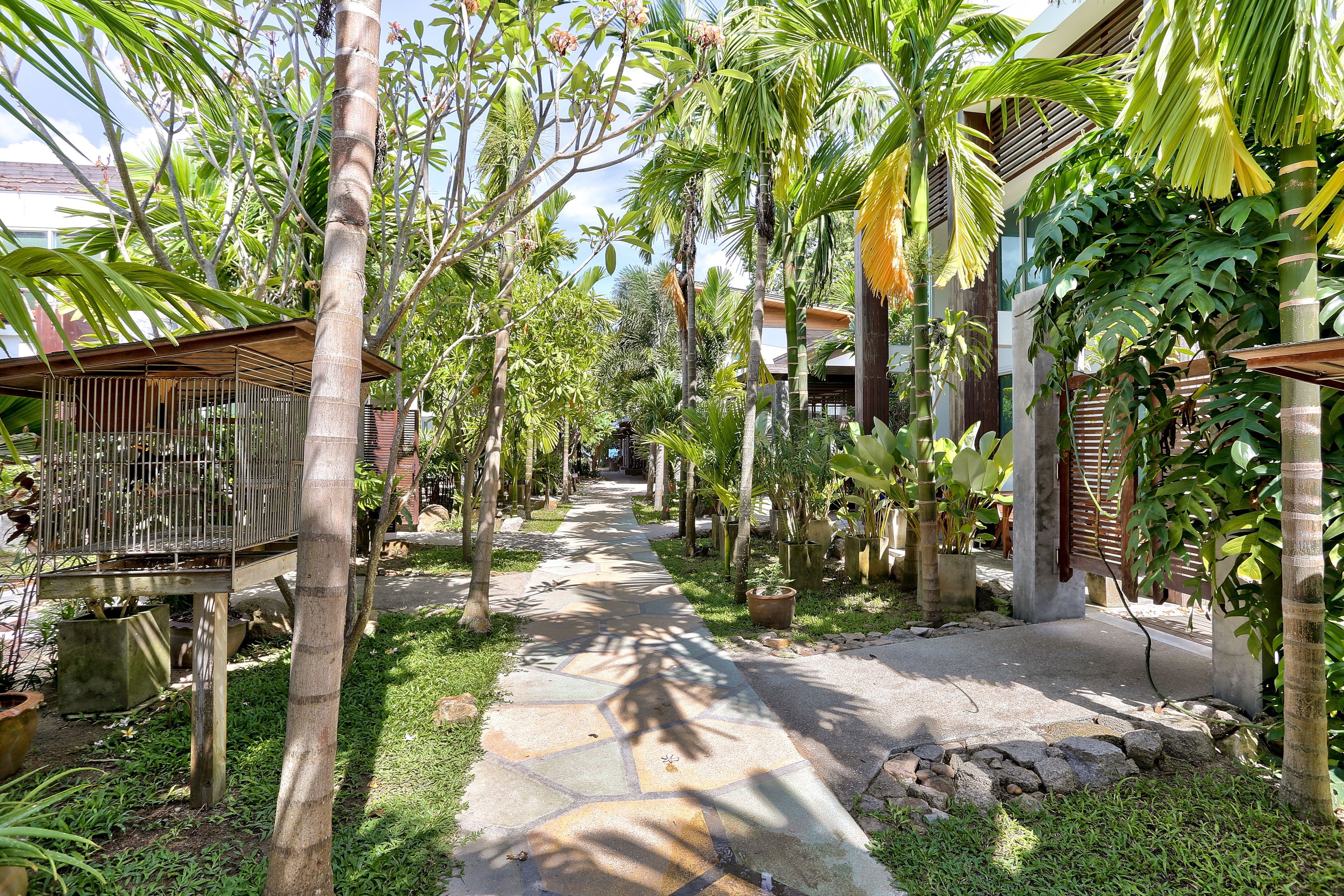 Foto - Sairee Hut Resort Koh Tao