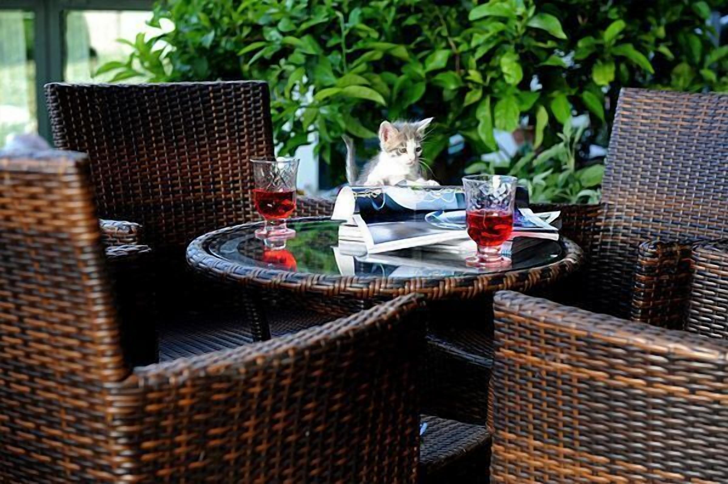 Foto - Il Giardino di Valentina