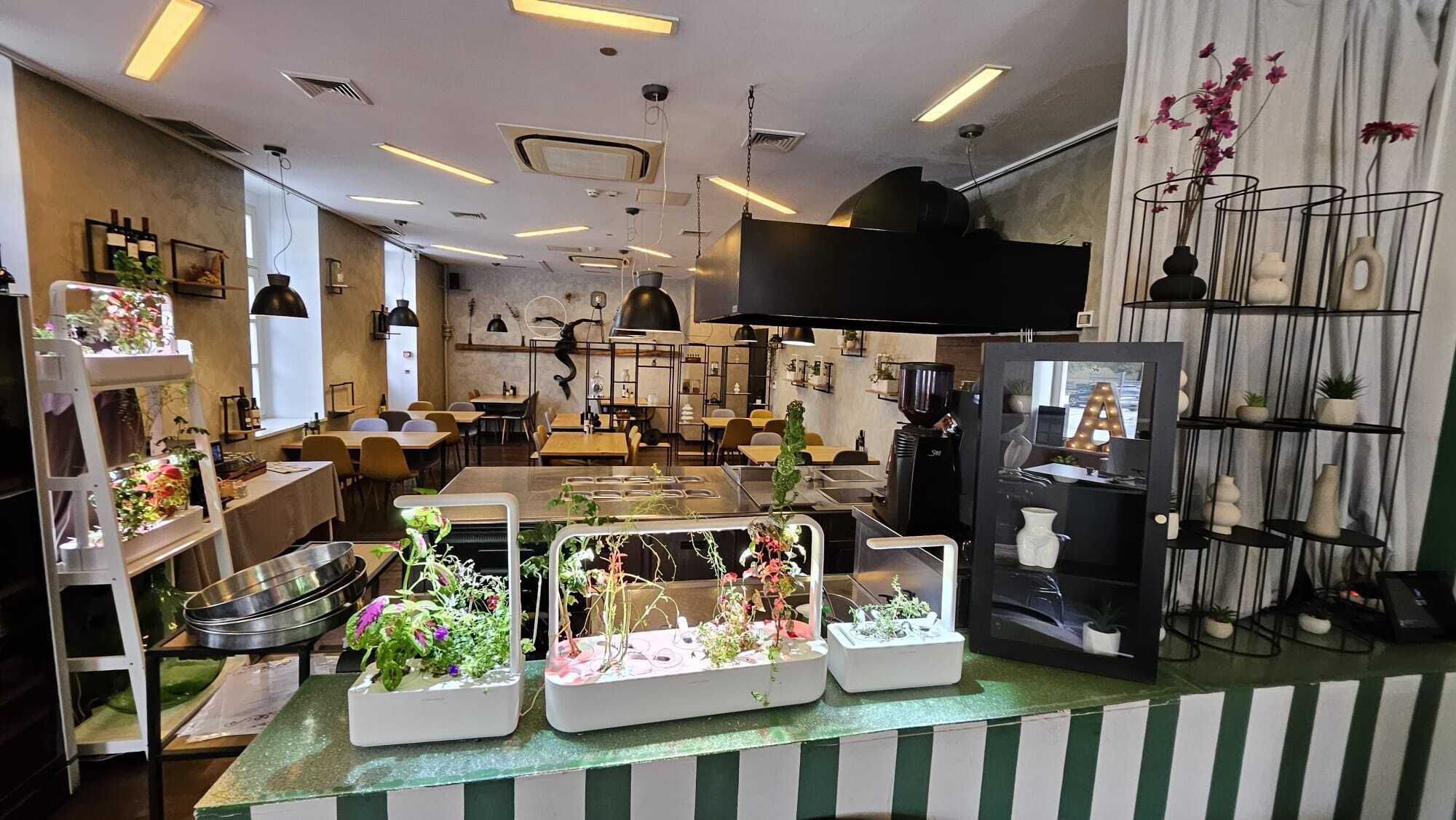 local and international cuisine